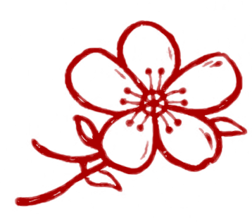 Aventuras inolvidables